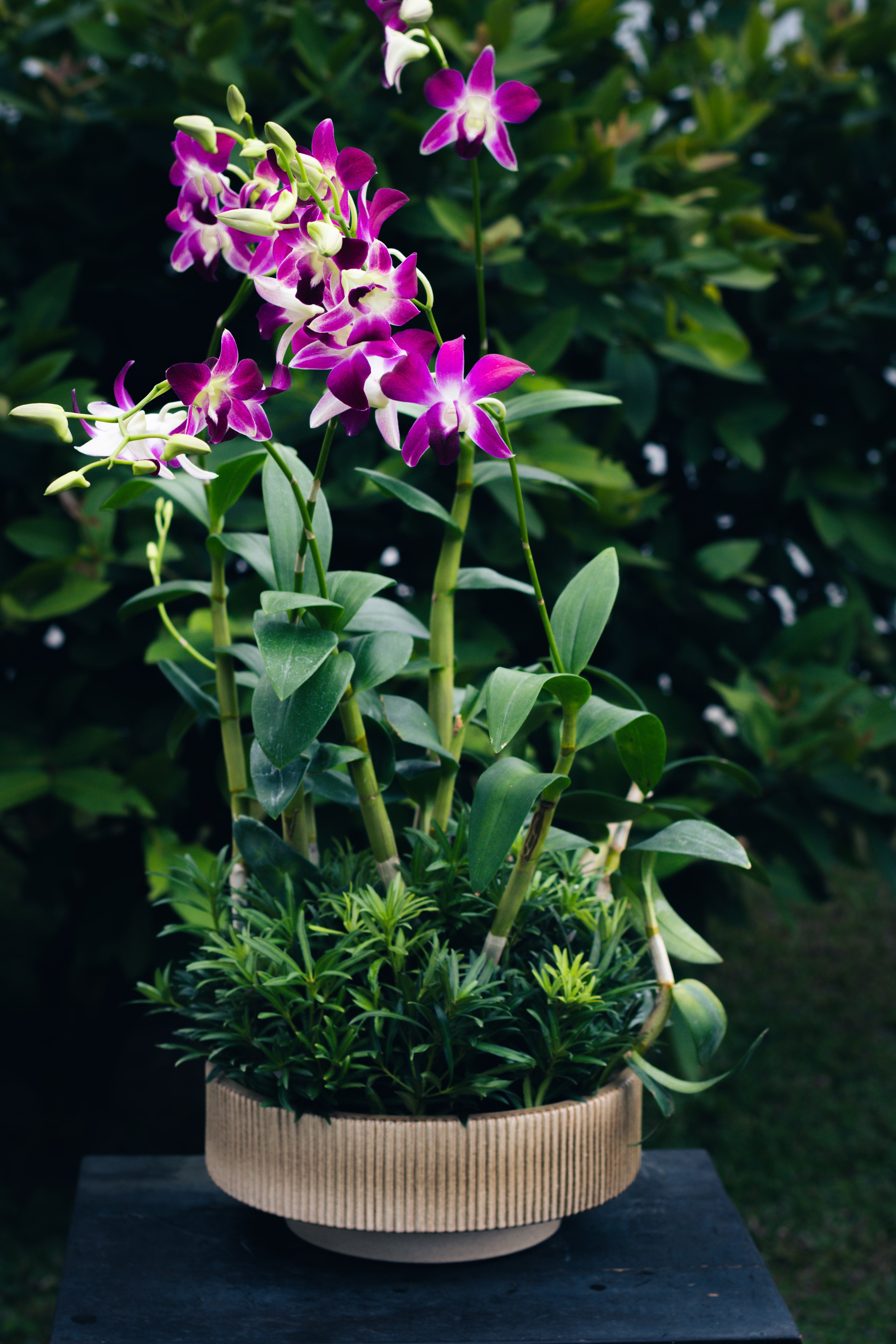 Housewarming Collection